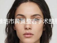 潍坊市鼻翼整容手术整形美容科价格表2023新版出炉(7月-1月均价为：39615元)